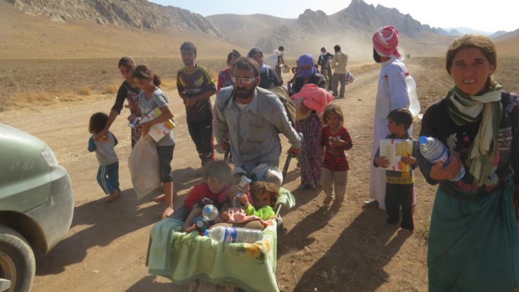 Urgent Call to Prevent a Human Tragedy in Sinjar Region